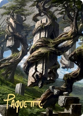 Forest Art Card (20/81) (Gold-Stamped Signature) (20) [ASZNR] - MTG Single