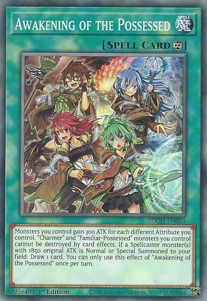 Awakening of the Possessed (20) (SDCH) - YuGiOh Single