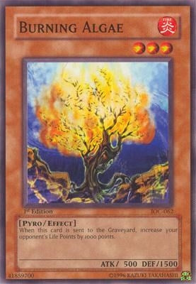 Burning Algae (62) - YuGiOh Single