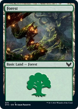 Forest (375) (375) [STX] - MTG Single