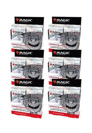 Adventures in the Forgotten Realms - Collector Booster Display Case [AFR] - MTG Sealed