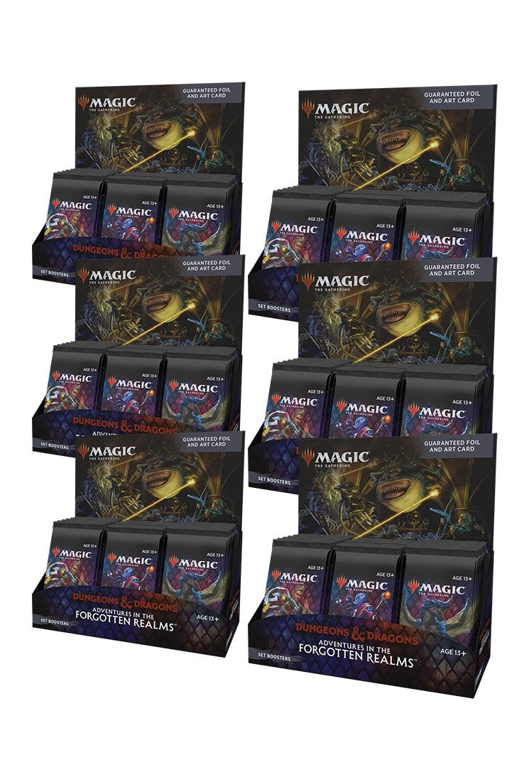 Adventures in the Forgotten Realms - Set Booster Display Case [AFR] - MTG Sealed