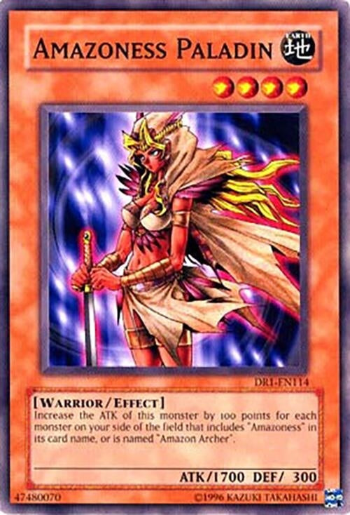 Amazoness Paladin (1114) - YuGiOh Single