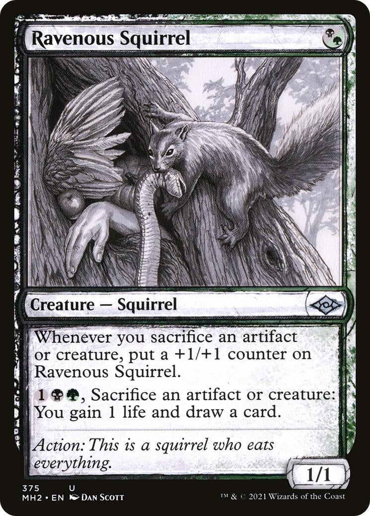Ravenous Squirrel (Showcase) (375) [MH2] - MTG Single