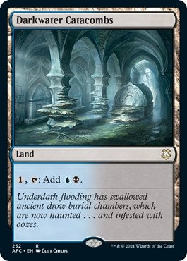 Darkwater Catacombs (232) [AFC] - MTG Single