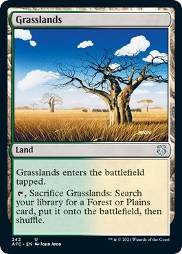 Grasslands (242) [AFC] - MTG Single