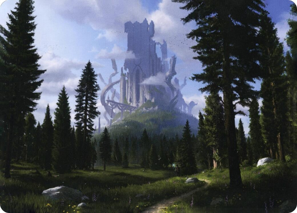 Forest (61/81) Art Card (61) [ASAFR] - MTG Single