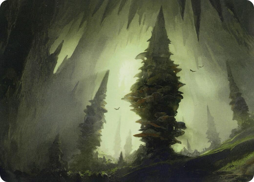 Forest (55/81) Art Card (55) [ASAFR] - MTG Single