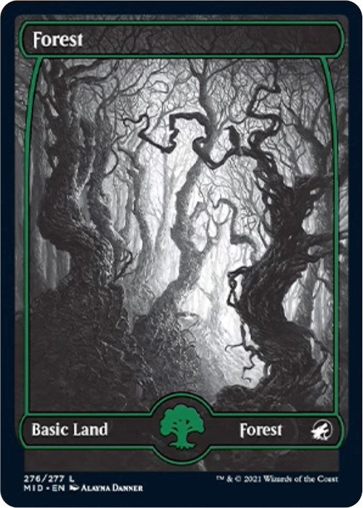 Forest (276) (276) [MID] - MTG Single
