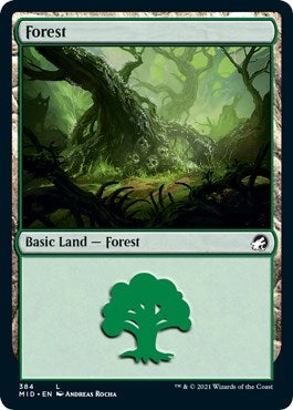 Forest (384) (384) [MID] - MTG Single