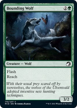 Bounding Wolf (170) [MID] - MTG Single