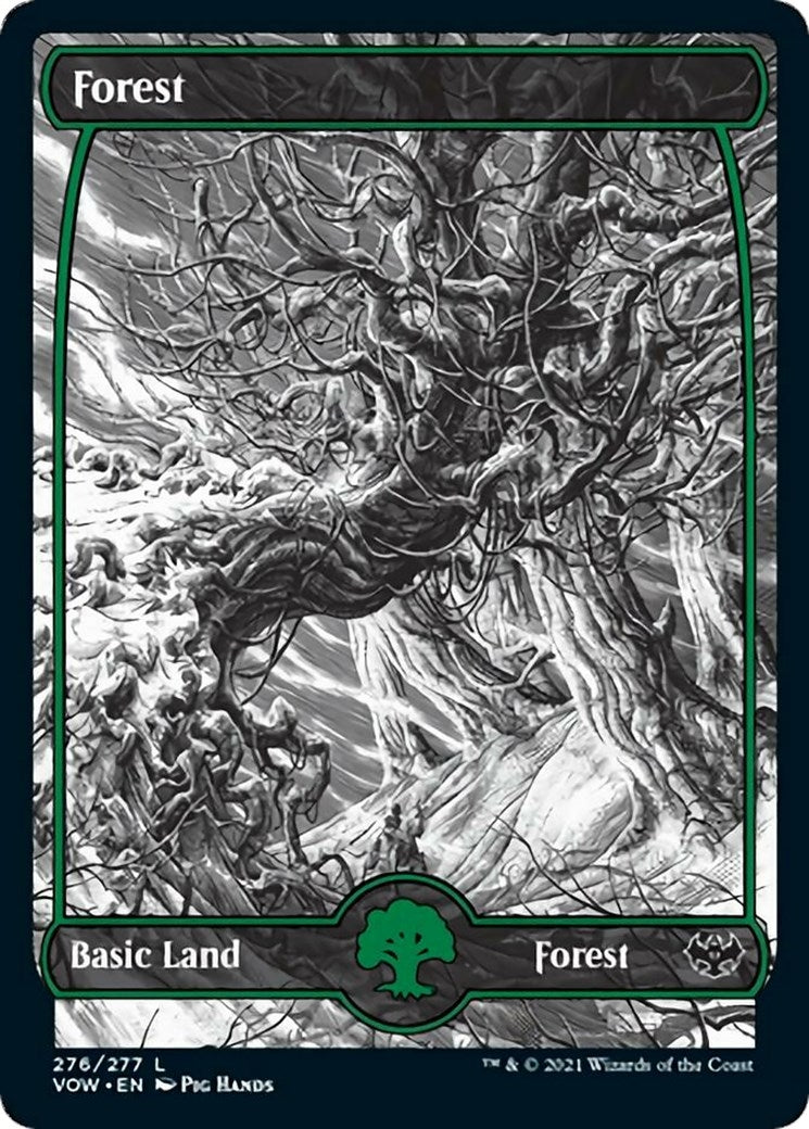 Forest (276) (276) [VOW] - MTG Single