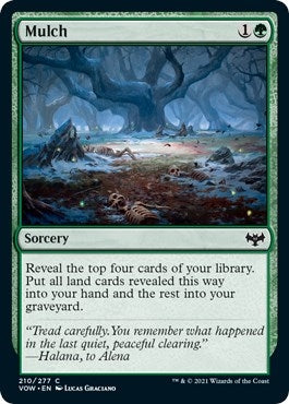 Mulch (210) [VOW] - MTG Single