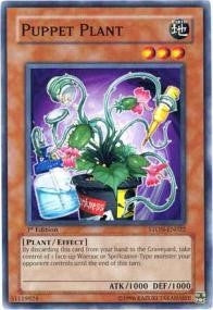 Puppet Plant (22) - YuGiOh Single