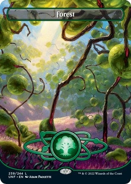 Forest (239) (Borderless) (239) [UNF] - MTG Single