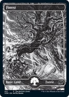 Forest (Moonlit Land) (Foil Etched) (412) [WPN] - MTG Single