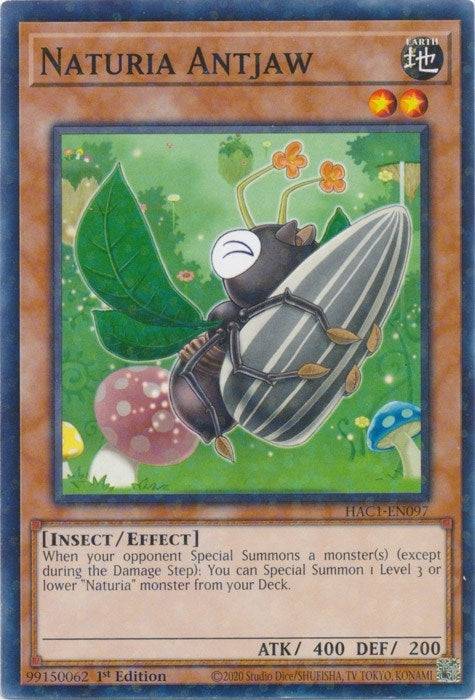 Naturia Antjaw (Duel Terminal) (1097) (HAC1) - YuGiOh Single