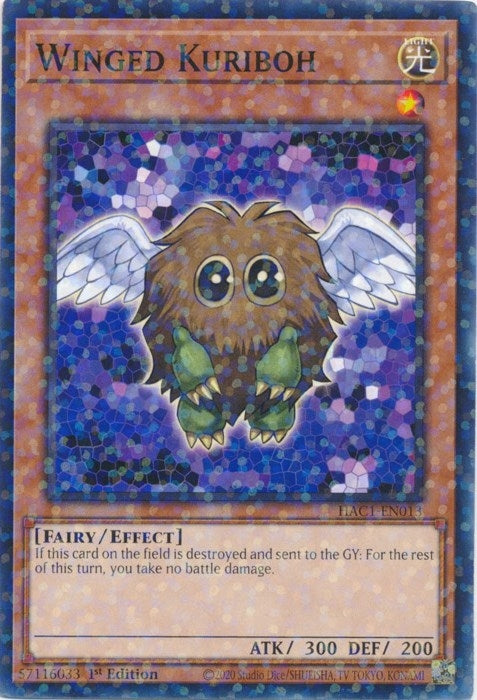 Winged Kuriboh (Duel Terminal) (1013) (HAC1) - YuGiOh Single