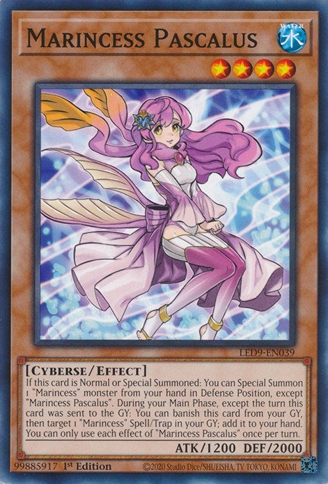 Marincess Pascalus (9039) (LED9) - YuGiOh Single