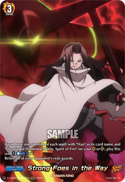 Strong Foes in the Way (SKR) (3078) [D-TB03] - Cardfight Vanguard Single