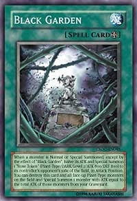 Black Garden (48) (CSOC) - YuGiOh Single