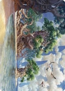Yavimaya Coast Art Card (61) [ASDMU] - MTG Single