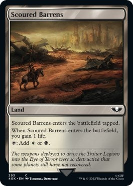 Scoured Barrens (Surge Foil) (293) [40K] - MTG Single
