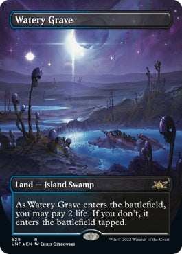 Watery Grave (Borderless) (Galaxy Foil) (529) [UNF] - MTG Single