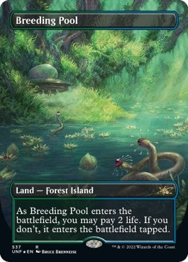 Breeding Pool (Borderless) (Galaxy Foil) (537) [UNF] - MTG Single