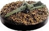 Image for 3" Gun M5 [Base Set 2] - Axis & Allies