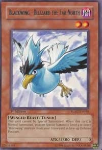 Blackwing - Blizzard the Far North (10) (RGBT) - YuGiOh Single