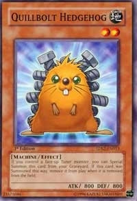 Quillbolt Hedgehog (5) (5DS2) - YuGiOh Single
