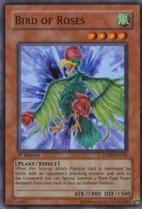 Bird of Roses (18) - YuGiOh Single