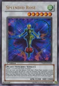 Splendid Rose (43) - YuGiOh Single