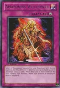 Amazoness Willpower (72) (DREV) - YuGiOh Single