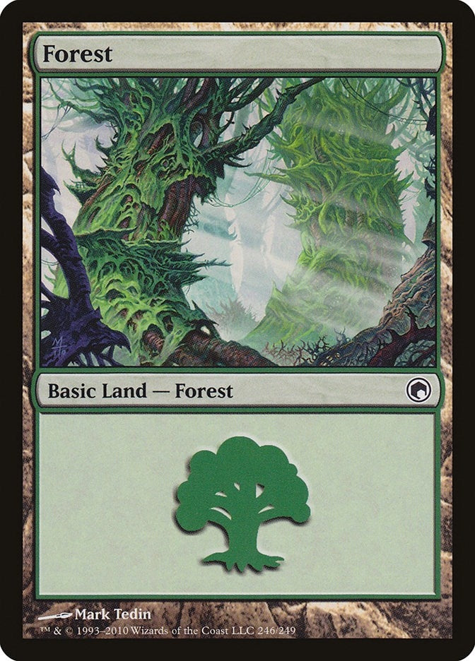 Forest (246) (246) [SOM] - MTG Single