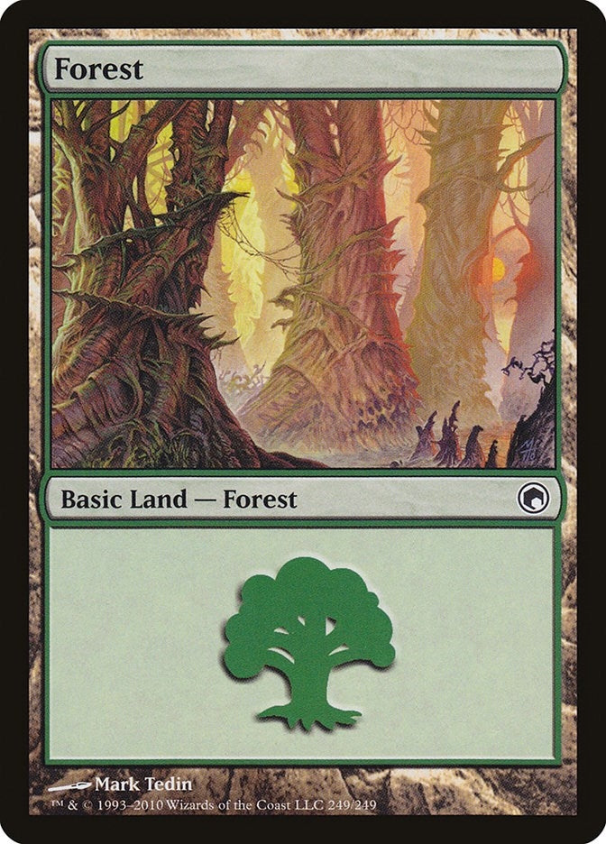 Forest (249) (249) [SOM] - MTG Single