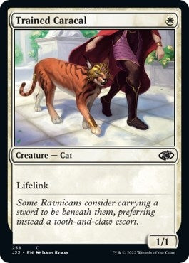 Trained Caracal (256) [J22] - MTG Single