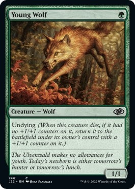 Young Wolf (746) [J22] - MTG Single
