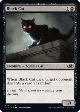Black Cat (377) [J22] - MTG Single