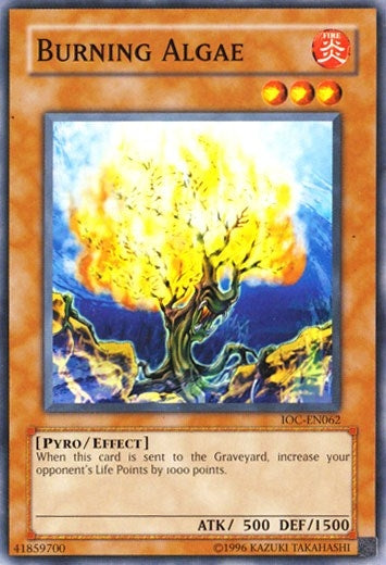 Burning Algae (62) (IOC-EN) - YuGiOh Single