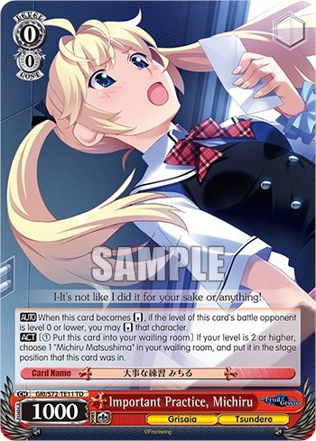 Important Practice Michiru (7211) [GRI/S72] - Weiss Schwarz Single