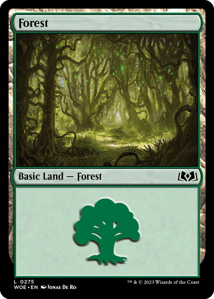 Forest (0275) (275) [WOE] - MTG Single