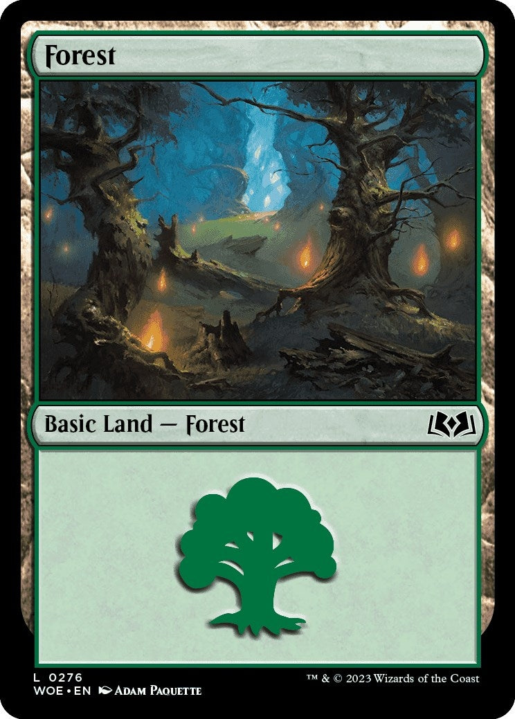 Forest (0276) (276) [WOE] - MTG Single