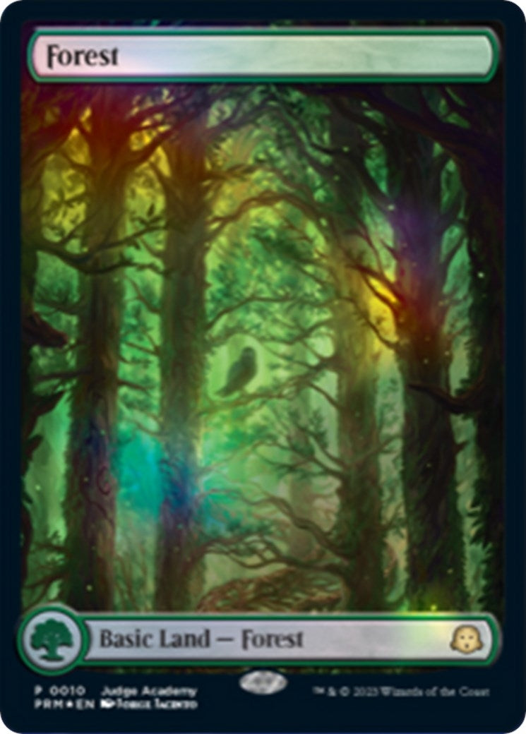 Forest - Full Art (0010) (10) [JDG] - MTG Single