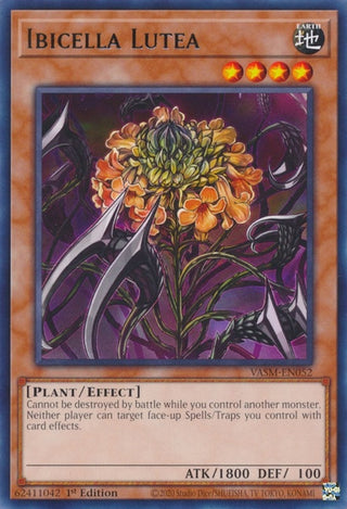 Ibicella Lutea (52) (VASM) - YuGiOh Single