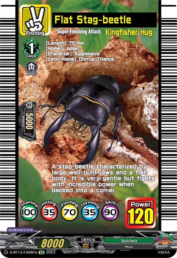 Flat Stag-beetle (1308) [D-BT13] - Cardfight Vanguard Single