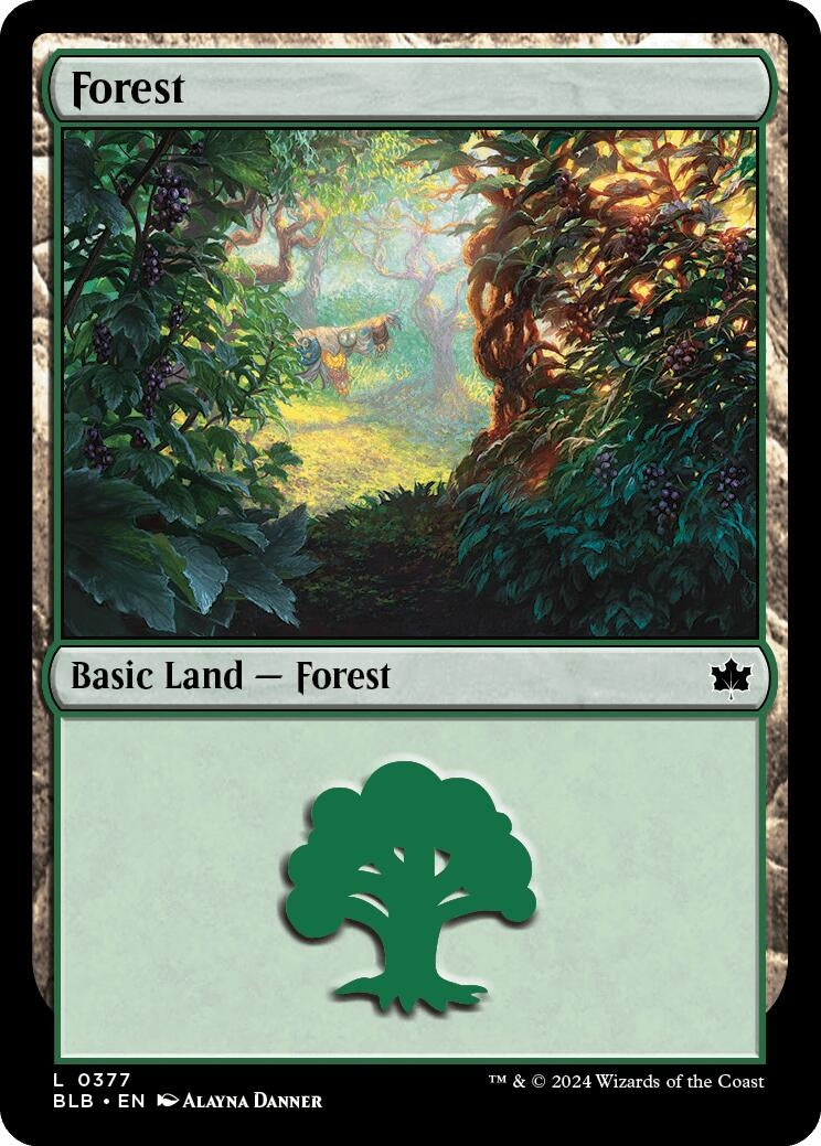 Forest (0377) (377) [BLB] - MTG Single