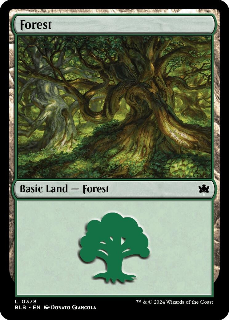Forest (0378) (378) [BLB] - MTG Single