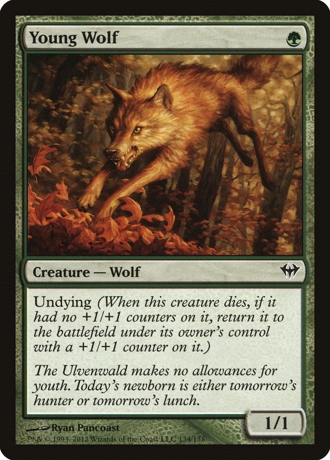 Young Wolf (134) [DKA] - MTG Single